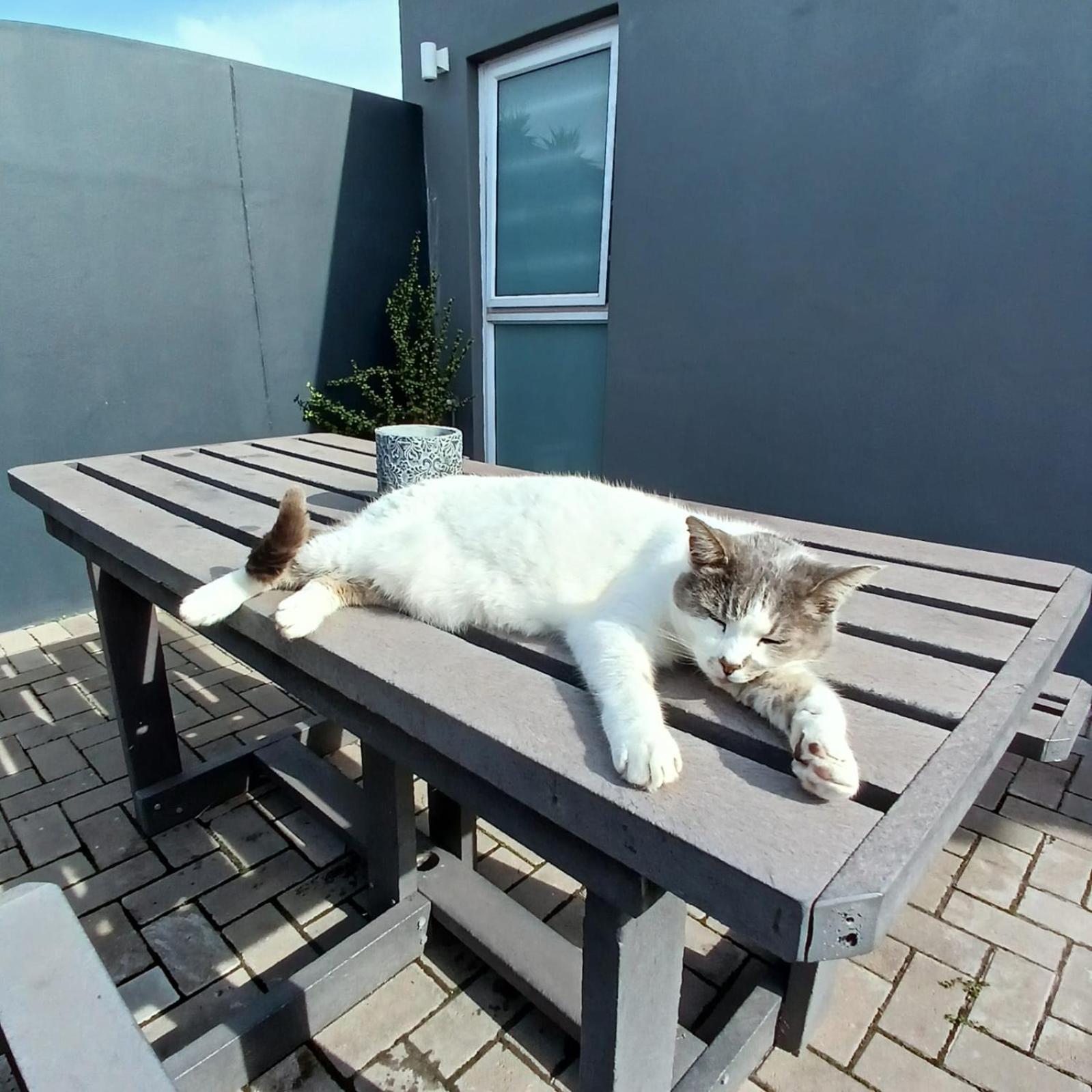 Wanderlust Private Studio Apartment Langebaan Exterior photo